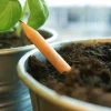Bloom Your Message Plantbaar Potlood | Vergeet-Me-Nietjes