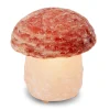 Himalaya Salt Dreams Zoutlamp Paddenstoel