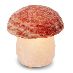 Himalaya Salt Dreams Zoutlamp Paddenstoel