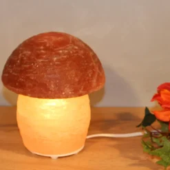 Himalaya Salt Dreams Zoutlamp Paddenstoel