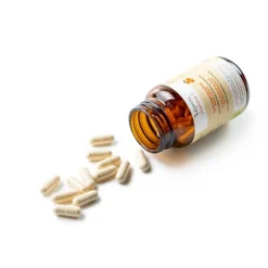 Laveen Vitamine C Bio Acerola