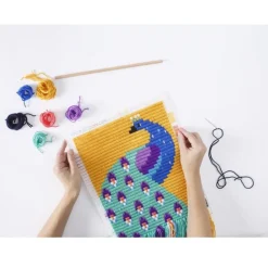 Sozo Diy Borduurset Pauw
