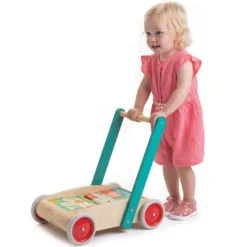 Tender Leaf Toys Loopwagen Met Blokken